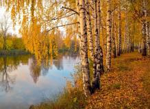 19 сентября — Михайлов день