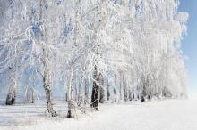 13 декабря — Андрей Зимний