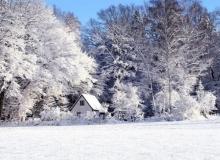 27 февраля — Кирилл Весноуказчик